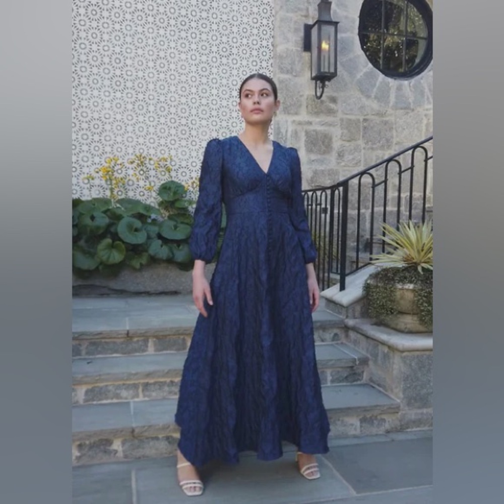 NWT Abbey Glass Brooke Organza V-Neck Button Front A-Line Maxi Dress Navy Sz XS - Picture 3 of 12